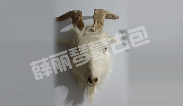 羊头